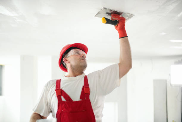 Reliable Mancos, CO Drywall & Painting Services Solutions